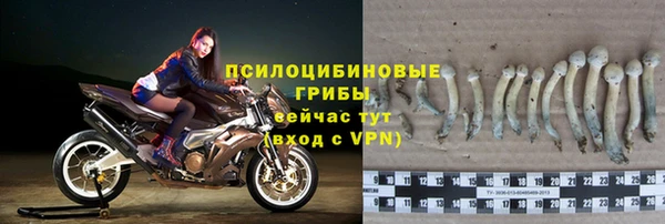 apvp Абинск